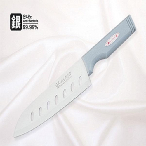 은나노식도