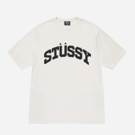 스투시 블록 스포츠 피그먼트 다이드 반팔티 1904910